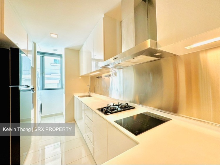 Park Infinia At Wee Nam (D11), Condominium #550210921